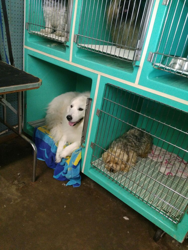 THE DOG HOUSE Updated September 2024 26 Photos 1103 N Main St