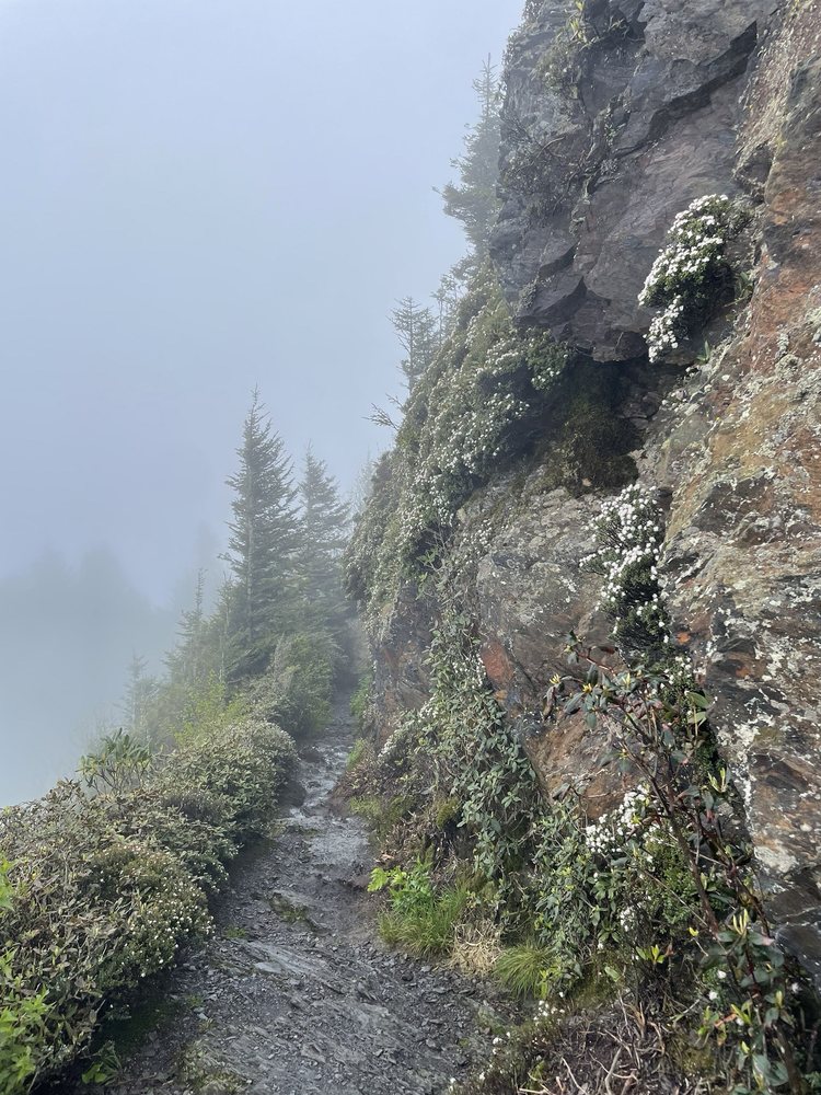 The Appalachian Trail Image