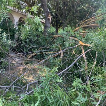 Travis Tree Service - Damage - Tree Services Near Me - Fresno, California