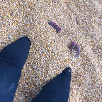 Greenstreet Gardens - Not toddler feet ;p - Nurseries & Gardening Near Me - Lothian, Maryland