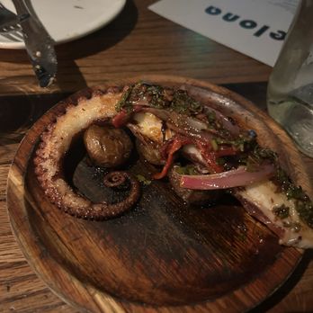 Barcelona Wine Bar - Grilled Pulpo - Wine Bars Near Me - Tampa Bay, Florida Barcelona Wine Bar - Grilled Pulpo - Wine Bars Near Me - Tampa Bay, Florida