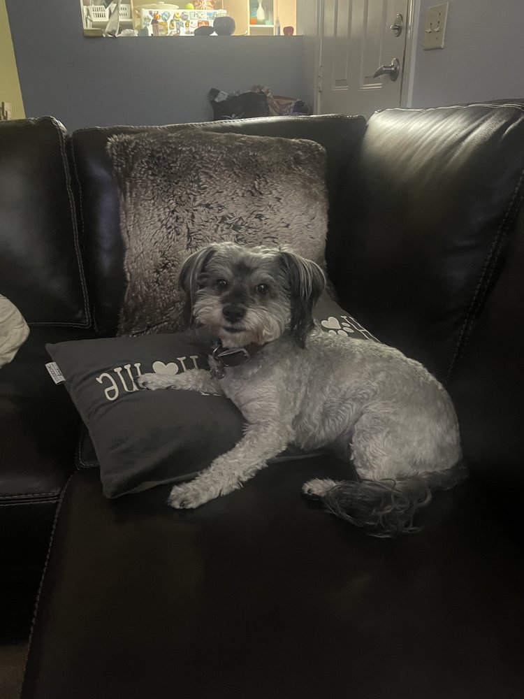 EASTLAKE VILLAGE VET CLINIC Updated August 2024 69 Photos & 102