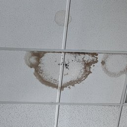 Mold