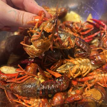 Willie's Grill & Icehouse - Dead crawfish that were super tiny. - American Near Me - Leander, Texas Willie's Grill & Icehouse - Dead crawfish that were super tiny. - American Near Me - Leander, Texas