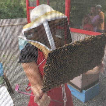 Big Island Bees - Beekeeper giving us a close up look at part of her hive. - Honey Near Me - Captain Cook, Hawaii