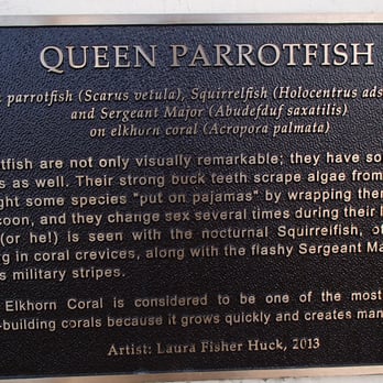 Parrot Plaza - Parks Near Me - Lauderdale, Florida Parrot Plaza - Parks Near Me - Lauderdale, Florida