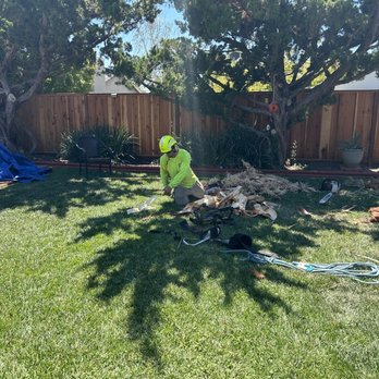 Preferred Expert Tree Service - Tree Services Near Me