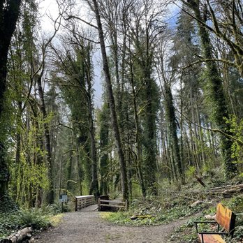 Harper Park - Parks Near Me - Port Orchard, Washington Harper Park - Parks Near Me - Port Orchard, Washington