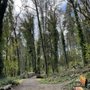 Photo of Harper Park