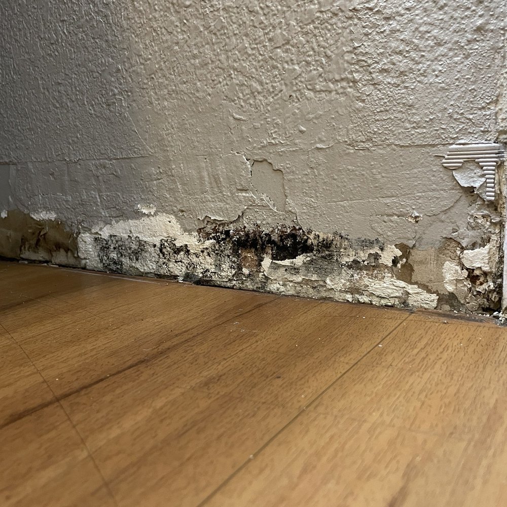 Motel 6 - Black mold in the bathroom - Hotels Near Me - Turlock, California Motel 6 - Black mold in the bathroom - Hotels Near Me - Turlock, California