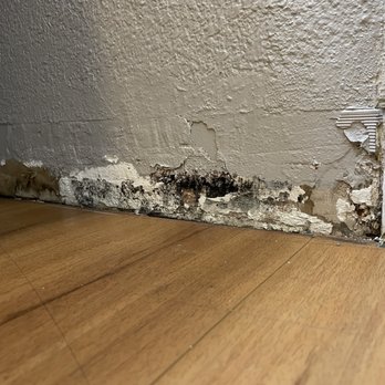 Motel 6 - Black mold in the bathroom - Hotels Near Me - Turlock, California Motel 6 - Black mold in the bathroom - Hotels Near Me - Turlock, California