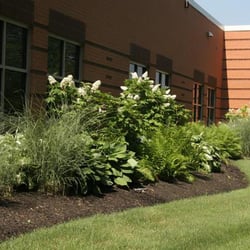 Lawn Masters Lawn & Landscaping