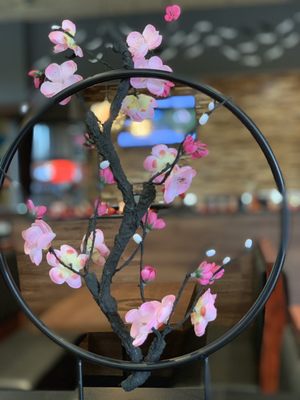 BIG FISH SUSHI - 451 Photos & 229 Reviews - 1410 228th St SE, Bothell ...