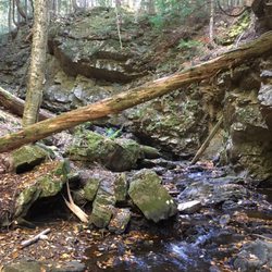 Chesterfield Gorge