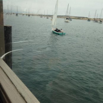 Lil Hut - My view from the eating area across from the Lil Hut - Seafood Near Me - Morro Bay, California