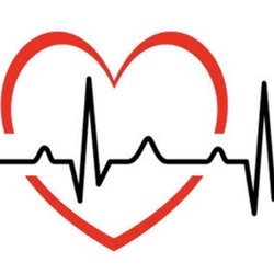 Cedar Heart - Heart; sinus rhythm