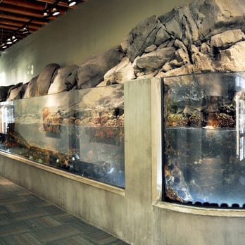 Seattle Aquarium - Aquariums Near Me - Seattle, Washington Seattle Aquarium - Aquariums Near Me - Seattle, Washington