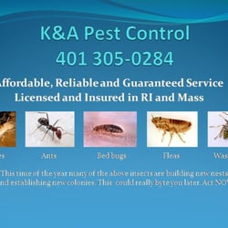 K&A Pest Control - Experienced Pest Control