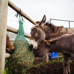 Natural Alternative Grazers " NAGBags