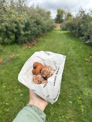 Apple Jack Orchards by null