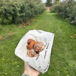 Apple Jack Orchards - Pumpkin spice mini donuts