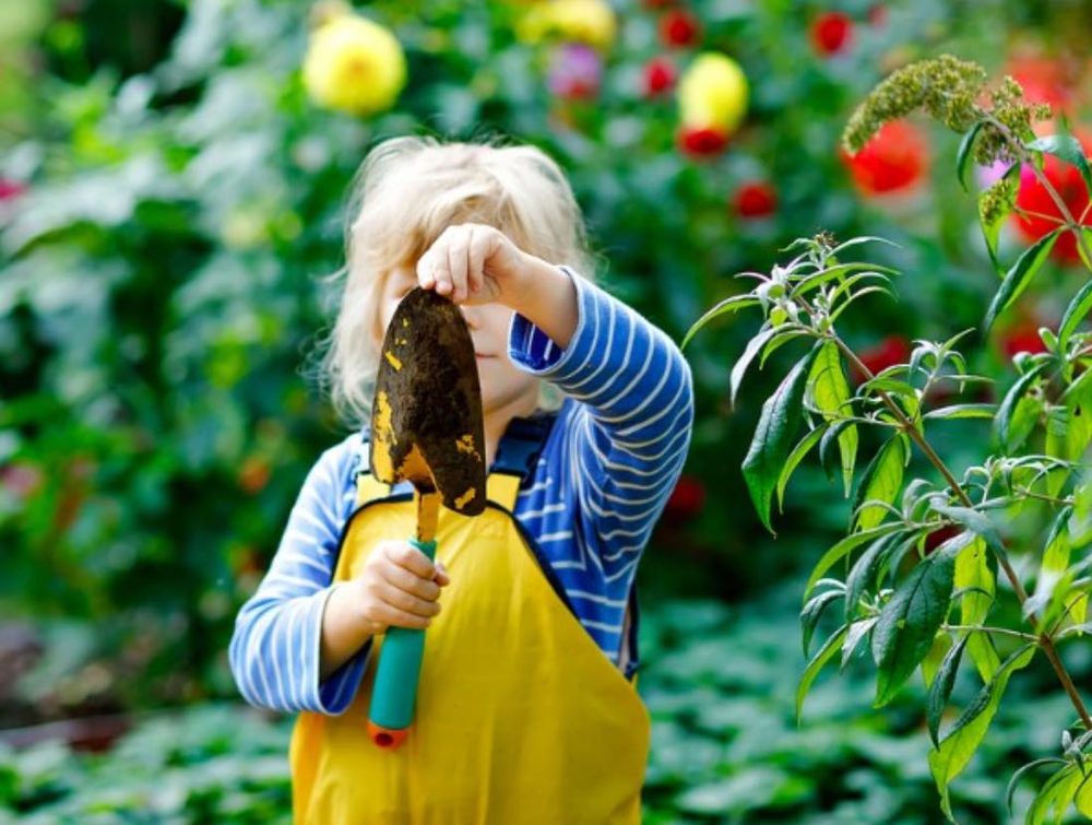 Peter Pan Academy - childcare center in Alameda, CA