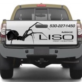 Mike Liso Pest Control - Family owned and locally operated - Pest Control Near Me Mike Liso Pest Control - Family owned and locally operated - Pest Control Near Me