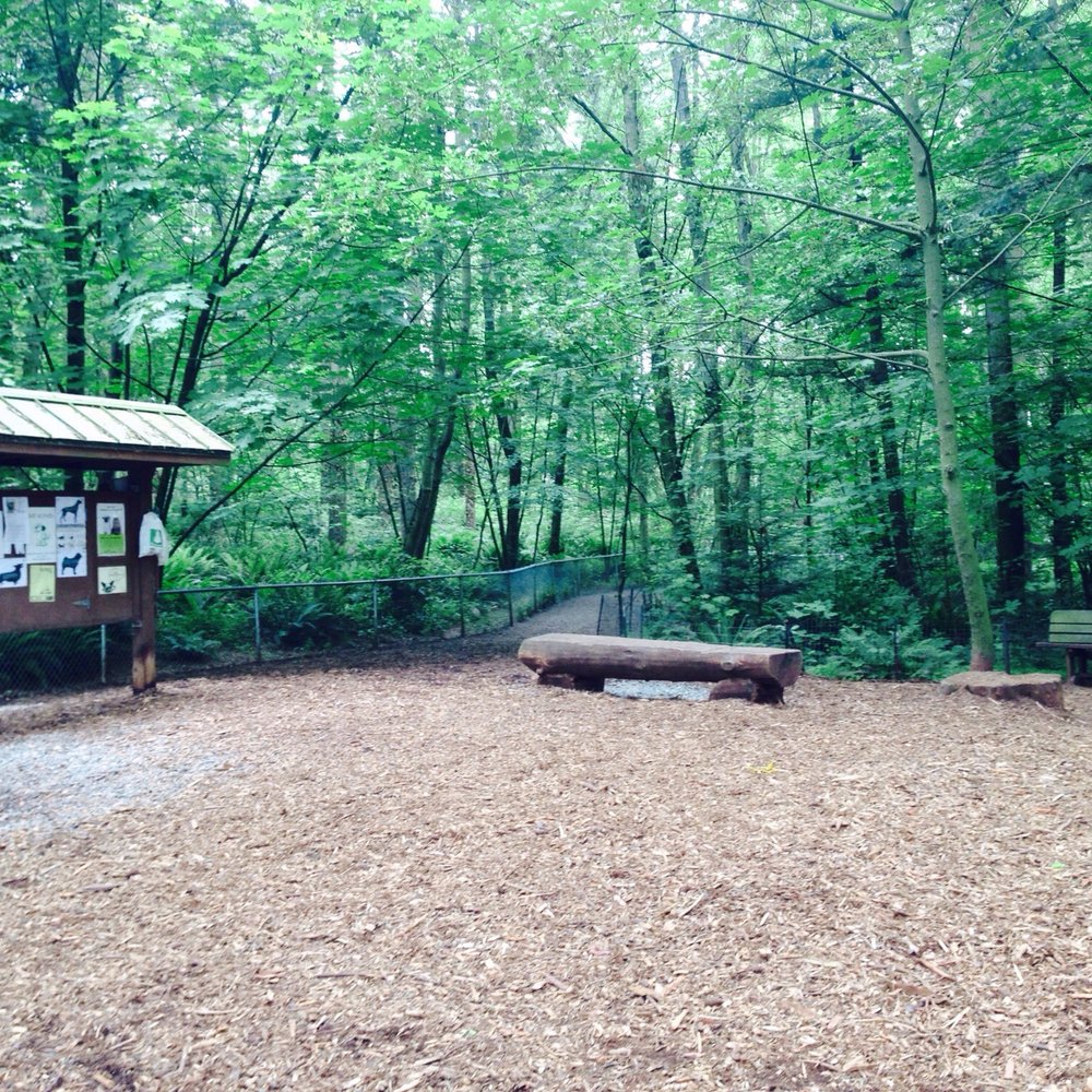 Northacres Park - Dog Parks Near Me - Seattle, Washington Northacres Park - Dog Parks Near Me - Seattle, Washington