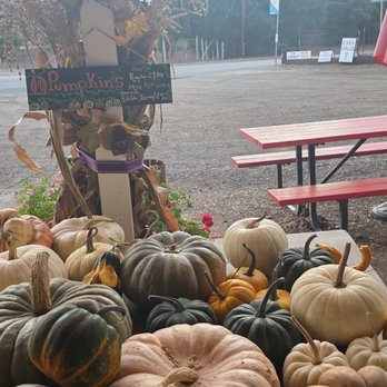 Fran's Original Farm Stand - Farmers Market Near Me - Escondido, California