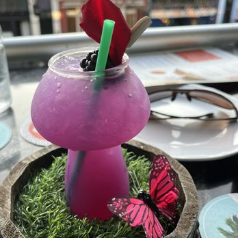 Rustic Root - Cocktail Bars Near Me - San Diego, California