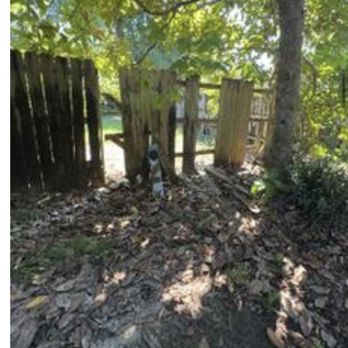 Emerald Shores Realty - I have not seen my house in years, and this has never been addressed to me. - Real Estate Agents Near Me - Navarre, Florida Emerald Shores Realty - I have not seen my house in years, and this has never been addressed to me. - Real Estate Agents Near Me - Navarre, Florida