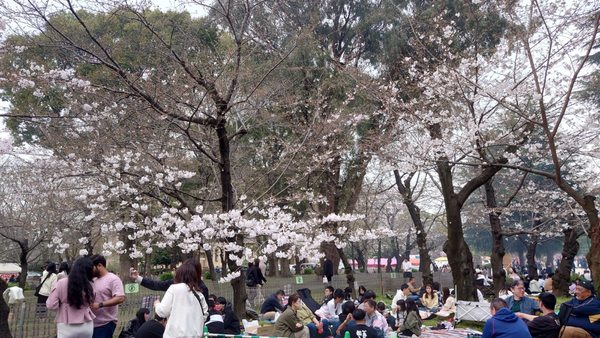 Tsuruma Park by null