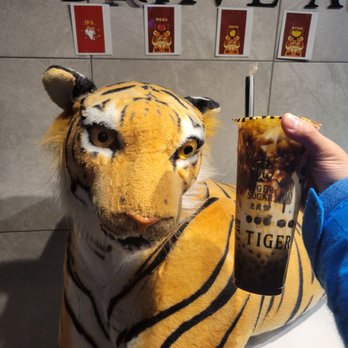 Tiger Sugar - 1. Brave As A Tiger 1. (// - Bubble Tea Near Me - Boston, Massachusetts