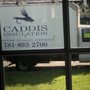 Photo of Caddis