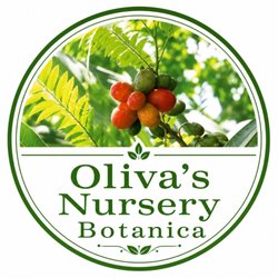 Oliva’s Nursery Botanica