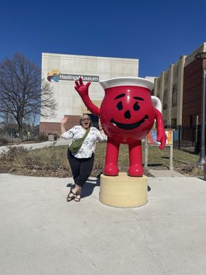 Hastings Museum by null