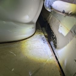 CleanAir Rx - Mold behind a toilet in Kettering.