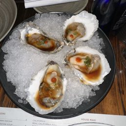 East coast oysters East coast oysters
