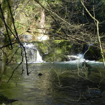 Whatcom Falls Park - Dog Parks Near Me - Bellingham, Washington