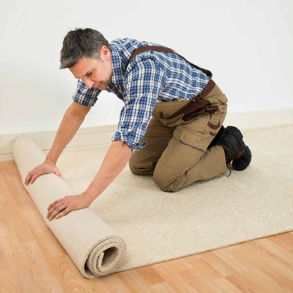 Leppo Carpet Cleaners - upholstery in York, PA