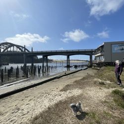 Siuslaw River bridge - Spring 2021
