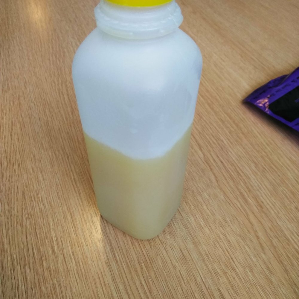 Green Love Kitchen - This lemonade with ginger is the bomb! - Vegan Near Me - Lithonia, Georgia Green Love Kitchen - This lemonade with ginger is the bomb! - Vegan Near Me - Lithonia, Georgia