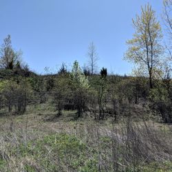 Sylvan Prairie Park