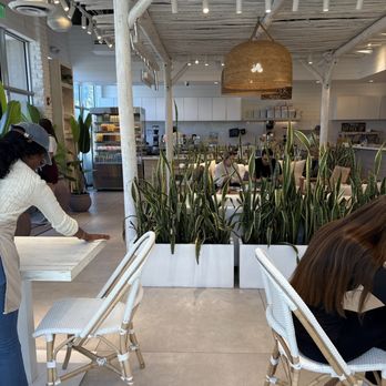 Pura Vida Miami - Breakfast & Brunch Near Me - Royal Palm Beach, Florida