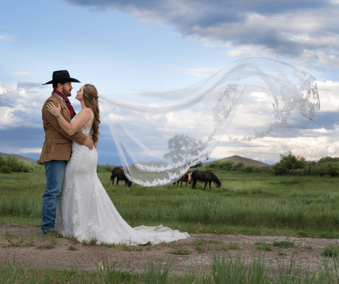 Vibrant Valley Photography by null