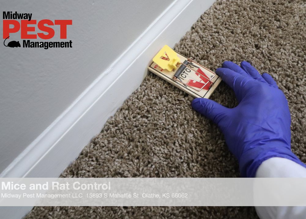 MIDWAY PEST MANAGEMENT Request a Quote 10 Photos 15893 S Mahaffie