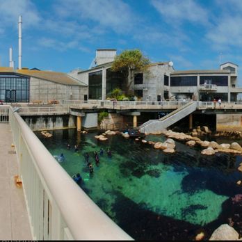 Superior Limousine - Another side of the aquarium in Monterey - Limos Near Me