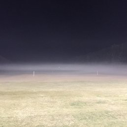 All alone on a foggy night.