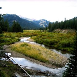 Western Winds Property Brokers