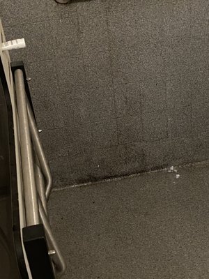 Wells State Park by null